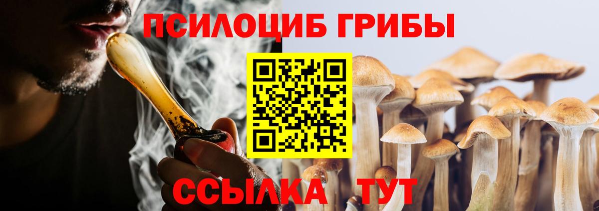 Галлюциногенные грибы Magic Shrooms  Вход с VPN  Кингисепп  Псилоцибиновые грибы GOLDEN TEACHER 
